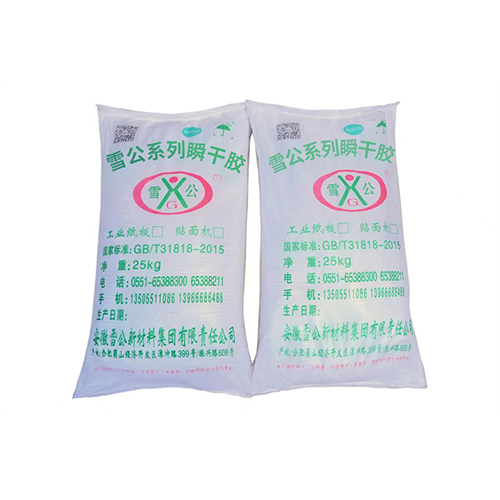 雪公系列瞬干胶 